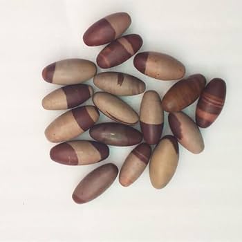 特大 希少価値‼️シバリンガム 特大 希少価値‼️シバリンガム